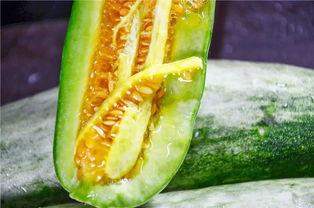 网红小雨吃瓜,揭秘娱乐圈幕后真相